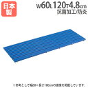 【SS限定P5倍6/10 13-15時&最大1万円クーポン6/3-10】 【法人限定】抗菌安全スノコ60×120 幅60×長さ120cm プールサイド 脱衣所 抗菌すのこ 温泉 スーパー銭湯 備品 設備 トーエイライト T1852 T-1852(4)