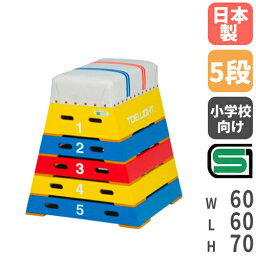 【P3倍5/1 13-15時&最大1万円クーポン5/1～7】 【法人限定】 跳び箱 小学校向け カラフルタイプ 奥行き60cm SG基準認証品 体育用品 スポーツ用品 体操 体操教室 カラー跳び箱5段 トーエイライト T2572 T-2572