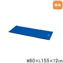 【P5倍7/5 13-15時&最大1万円クーポン7/4-11】 【法人限定】 エクササイズマット 幅60×長さ155×厚さ2cm ストレッチマット フィットネスマット ストレッチ トレーニング 防水 運動 体操 スポーツ用品 H7306B