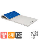 【法人限定】 体操マット トーエイライト 滑り止め付き 6号帆布 幅120×長さ600×厚さ5cm 合成スポンジマット 体育マット 体育用品 SGマーク付き 日本製 T1701(4)