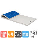 【P5倍7/20 13-15時&最大1万円クーポン7/19-25】 【法人限定】 体操マット トーエイライト 抗菌 防臭 滑り止め付き 6号帆布 幅120×長さ240×厚さ6cm 合成スポンジマット 体育マット 体育 SGマーク付 国産 T1704