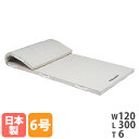 【法人限定】 体操マット トーエイライト 6号帆布 幅120×長さ300×厚さ6cm 合成スポンジマット 体育マット スポーツマット 体育用品 SGマーク付き 日本製 T1710(4)