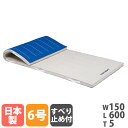 【P3倍6/1 13-15時&最大1万円クーポン6/1】 【法人限定】 体操マット トーエイライト 滑り止め付き 6号帆布 幅150×長さ600×厚さ5cm コ...