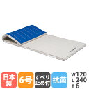 【P3倍6/1 13-15時&最大1万円クーポン6/1】 【法人限定】 体操マット トーエイライト 抗菌 防臭 滑り止め付き 6号帆布 幅120×長さ240×厚...