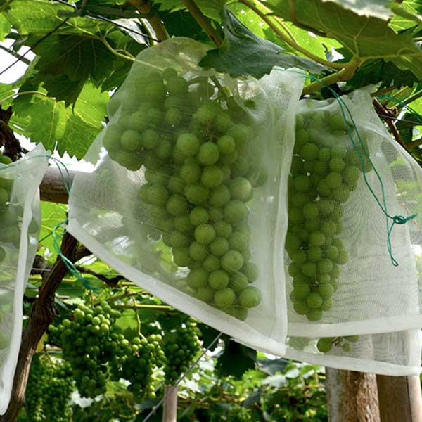 果物袋 保護ネット 防虫ネット 50枚 セット 防鳥 巾着袋 害虫 鳥よけ網 フルーツ 園芸工具 穴極細通気性 光通過 農業用 再利用可能 庭野菜用バッグ 10cm×15cm 送料無料