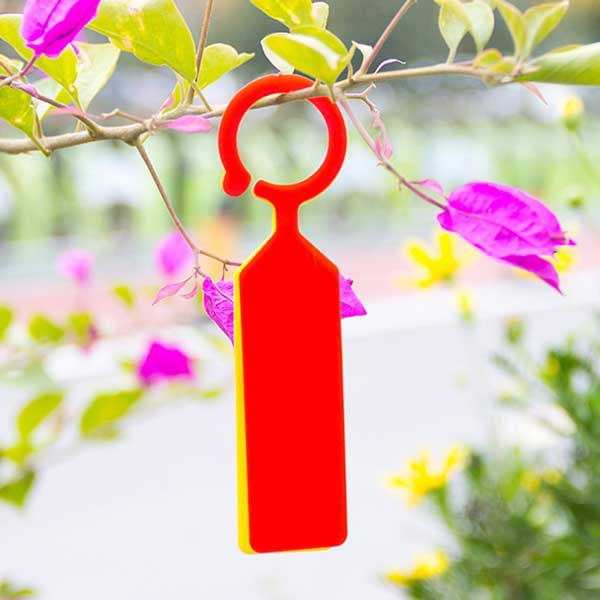 �ڿ�ʪ��̾�������դ�Ͽ�۱�ݥ�٥� 100�祻�å� �ߤ겼���� ��ʪ ��٥� ���� ���� ̾�� ����ѥ�٥� �����ǥ˥� �����֤��Ȥ��� ����̵��