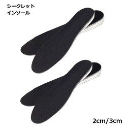 シークレット インソール 2cm 3cm かかと レディース メンズ 中敷き 靴 キッズ 子供 送料無料