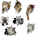 ウォールステッカー 7PCS 新しい 3D 取り外し可能 漫画 動物 猫 大きい壁のステッカー ウォールステッカー 猫 簡単に貼ってはがせる 猫 ネコ 子供部屋...