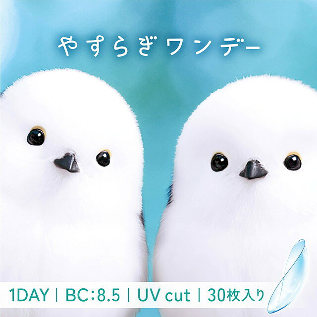 やすらぎワンデー 30枚入 【1箱30枚入×2箱】【メール便送料無料】yasuragi 1day 度あり ワンデー コンタクトレンズ …