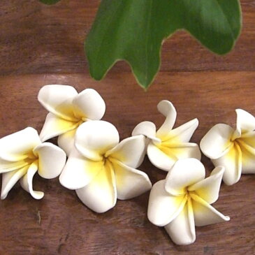FRANJIPANI・大人気 フラワーオブジェ4個セット(アジアン 雑貨 置物 おしゃれ モダン 玄関 エスニック リゾート バリ雑貨 バリ 造花 フランジパニ プルメリア ハワイアン雑貨 ハワイ トイレ インテリア アジアンインテリア オブジェ かわいい)メール便対応【46417】