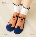 トイプードル 犬柄 ロークルー丈ソックス 23-25cm レディース 靴下 動物 as-ans041