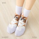 チワワ 犬柄 ロークルー丈ソックス 23-25cm レディース 靴下 動物 as-ans043