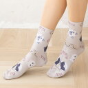 プリントソックス CAT FACE柄 クルー丈 23-25cm レディース 靴下 STREAM as-9y71026