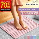 【80%OFFクーポンで796円!新発売予約特価/6月上旬お届け】【シ...(4)