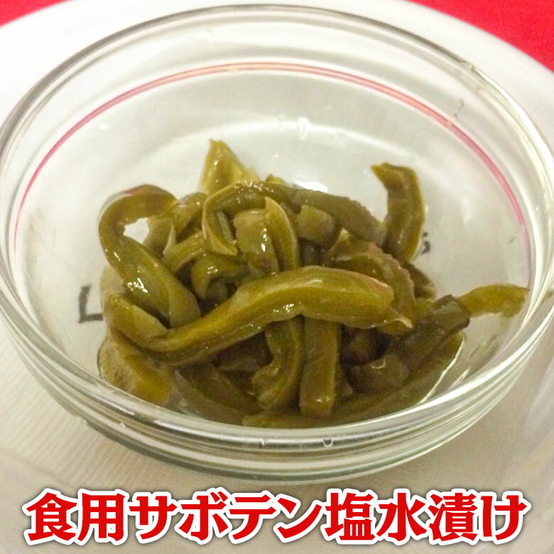 多国籍料理No.10