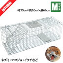 動物捕獲器 動物捕獲檻 猫 アニマルトラップ Mサイズ 66cm×26cm×23cmトラップ 箱罠 イタチ 駆除 捕獲 踏板式 捕獲機 動物 小動物 子猫 罠 鼠 保護 庭 畑 餌 アニマルキャッチャー