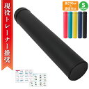 【クーポンで最大2000円OFF】 ヨガポール ロングタイプ (カバー付き) 長さ90センチ 直径15センチ ファシア ジム スポーツ yoga ヨガグッズ ス...