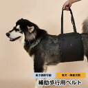歩行補助ベルト 障害犬 高齢犬 胸部に 背部に 後ろ足補助 S/M/L/XL 犬 ペット用 小型/中型犬 全4サイズ おすすめ ペット用品 ドッググッズ