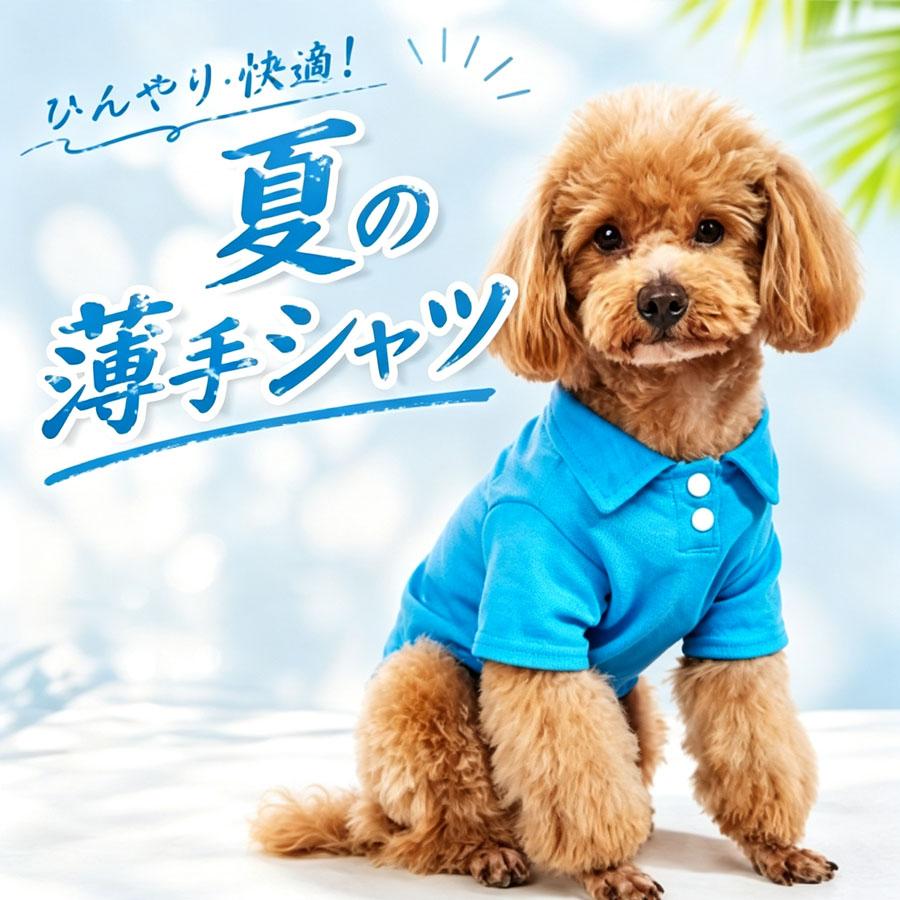 【注意事項】※製品更新により、予告なしで同じ商品がデザイン、色若干変わる場合がございますので、予めご了承下さい。※撮影の為、画質等の関係上、色などが実際の商品と若干違ってしまうこともあるかもしれませんがご理解のほどご購入ください。予めご了承ください。※サイズはスタッフによる平置き実測サイズの為、1~3cm誤差が生じる場合がございます。※更新のタイミングによっては実在庫に相違が出る場合がございます。※万が一商品に不具合がある場合は、無償交換・返金は可能です。マイナス評価する前にご遠慮なく当店と連絡してください。関連キーワード(商品の説明ではありません)：Yibao お散歩 お出かけ 旅行 海 おしゃれ 春 夏 シャツ 夏服 春夏 快適性 小型犬 中型犬 贈り物 ペアルック トイプードル おしゃれ おもしろ かわいい 着せやすい 大人気 インスタ映え犬服 ポロシャツ 夏服 ドッグウェア 袖あり Tシャツ 半袖 ペット服 犬 服 可愛い かわいい お散歩 お出かけ 旅行 海 おしゃれ 春 夏 シャツ 夏服 春夏 快適性 小型犬 中型犬 贈り物 ペアルック トイプードル おしゃれ おもしろ かわいい 着せやすい 大人気 インスタ映え【注意事項】※製品更新により、予告なしで同じ商品がデザイン、色若干変わる場合がございますので、予めご了承下さい。※撮影の為、画質等の関係上、色などが実際の商品と若干違ってしまうこともあるかもしれませんがご理解のほどご購入ください。予めご了承ください。※サイズはスタッフによる平置き実測サイズの為、1~3cm誤差が生じる場合がございます。※更新のタイミングによっては実在庫に相違が出る場合がございます。※万が一商品に不具合がある場合は、無償交換・返金は可能です。マイナス評価する前にご遠慮なく当店と連絡してください。関連キーワード(商品の説明ではありません)：Yibao お散歩 お出かけ 旅行 海 おしゃれ 春 夏 シャツ 夏服 春夏 快適性 小型犬 中型犬 贈り物 ペアルック トイプードル おしゃれ おもしろ かわいい 着せやすい 大人気 インスタ映え犬服 ポロシャツ 夏服 ドッグウェア 袖あり Tシャツ 半袖 ペット服 犬 服 可愛い かわいい お散歩 お出かけ 旅行 海 おしゃれ 春 夏 シャツ 夏服 春夏 快適性 小型犬 中型犬 贈り物 ペアルック トイプードル おしゃれ おもしろ かわいい 着せやすい 大人気 インスタ映え