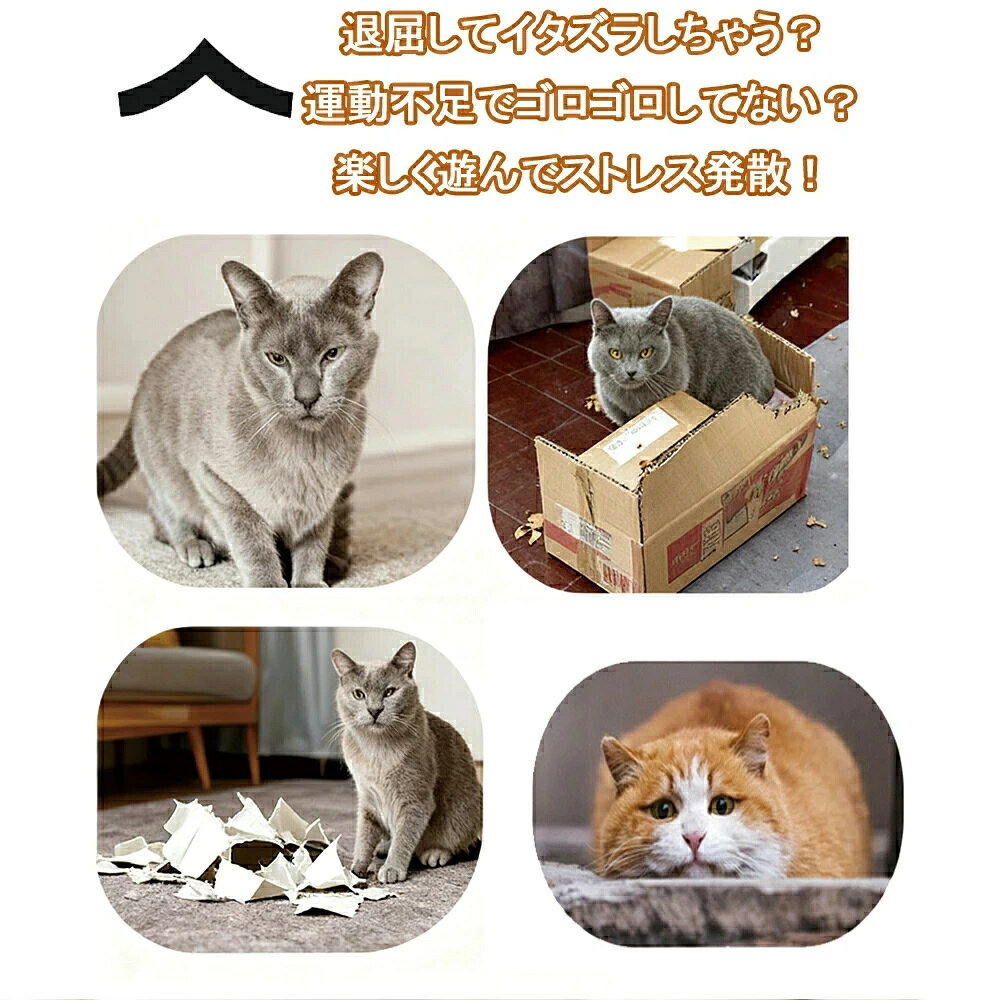 自動で光って動く 猫用おもちゃボールセット 猫おもちゃ 電動ボール 自動 猫用 ペ...