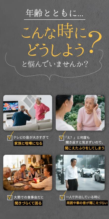 【期間限定★最大P10】集音器 高齢者 使いやすい 集音器 充電式 ワイヤレス 高齢者...