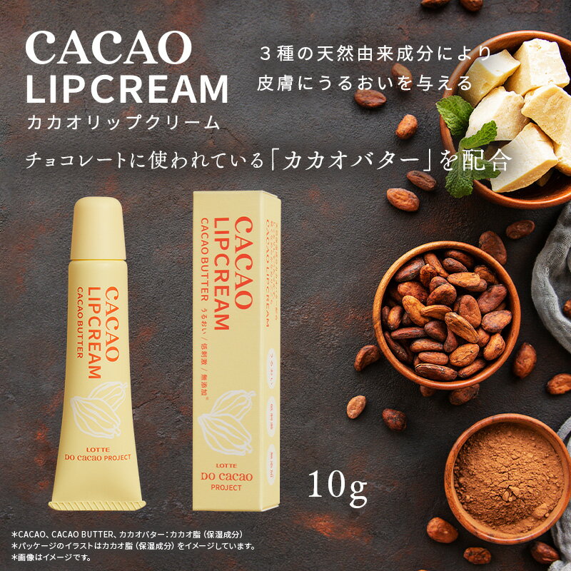 【お得なクーポン発行中！】【ロッテ公式】CACAOリップクリーム | 無香料 無着色 アルコールフリー シリコーンフリー 石油系界面活性剤フリー 紫外線吸収剤フリー 天然由来 保湿成分 カカオ ギフト プレゼント クリスマス 正月 バレンタインのサムネイル