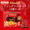 ガーナフォンダンショコラ チョコ 12個セット | ケーキ チョコ チョコレート スイーツ 濃厚 コーヒー お菓子 洋菓子 ギフト プチギフト プレゼント 家庭 家事 リラックス 休憩 おやつ 春 母の日