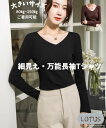 大きいサイズ レディース トップス ブラウス シャツ カットソー 長袖 レディース 大きいサイズ リブ リブカットソー ボートネック オフィス 大人 tシャツ 薄手 無地 シンプル 秋 オシャレ リブtシャツ リブトップス 透けにくい ストレッチ 伸縮 テレコ インナー シンプル
