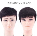 ポイントウィッグ 部分ウィッグ メンズ用 人毛 トップカバー 部分ウィッグ メンズウィッグ ヘアピース 男性用 紳士用 白髪 薄毛 円型脱毛症 トップピース 頭...