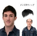 メンズ用ポイントウィッグ 部分ウィッグ メンズ 男性 人毛 トップカバー 部分ウィッグ メンズウィッグ ヘアピース 紳士用 白髪 薄毛 円型脱毛症 トップピース...