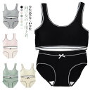柔らかい パンツ ジュニア下着セット リブ レディース ジュニアブラ ショーツ パッド付き ガールズ カップ付き シンプル セット 可愛い 2点セット ブラ 肌...