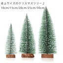 クリスマスツリー ナチュラルツリー 25cm 30cm ツリー 卓上ミニサイズ ミニ シンプル おしゃれ クリスマス 小型 テーブル リアル 雪 北欧 スリム ...