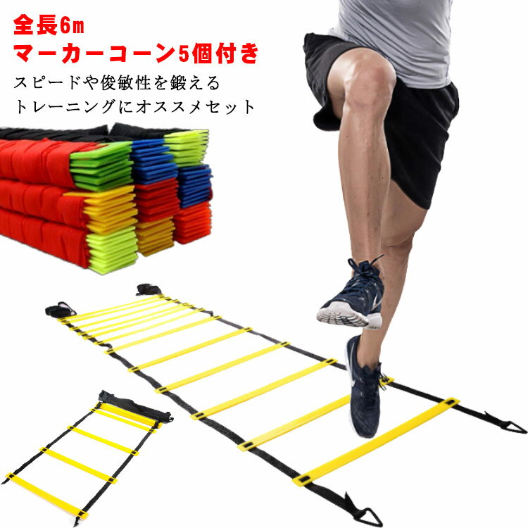 メンズ レディース ジュニア トレーニングラダーセット トレーニングラダー 6m スポーツ用具 プレート20枚 フィットネス トレーニング スピード ソフタッチ コーン5枚付き サッカー フットサル 野球 陸上 部活動 練習