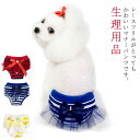 リボン ボーダー フリル レース マナーパンツ サニタリーパンツ 犬用 マナーパンツ サニタリパンツ 女の子用 生理用品 衛生 お出かけ しつけ用品 メス ナプ...