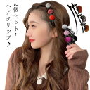 ヘアピン ヘアクリップ 2個セット ヘアアクセサリー かわいい おしゃれ 韓国ファション 春秋冬 送料無料