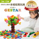 【グッドトイ2021受賞】【公式】 GESTAR ジスター 天才のはじまり| 知育玩具 ブロック おもちゃ 知育 紐通し 2歳 3歳 4歳 5歳 6歳 7歳 8歳 9歳 10歳 知育おもちゃ 男の子 女の子 モンテッソーリ プレゼント 幼児 子供 室内 こども 立体パズル パズル ブロックおもちゃ 誕生日