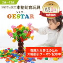 【グッドトイ2021受賞】【公式】 GESTAR ジスター 天才のはじまり| 知育玩具 ブロック おもちゃ 知育 紐通し 2歳 3歳 4歳 5歳 6歳 7歳 8歳 9歳 10歳 知育おもちゃ 男の子 女の子 モンテッソーリ プレゼント 幼児 子供 室内 こども 立体パズル パズル ブロックおもちゃ 誕生日