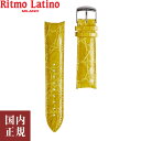 2000・1000・777・500円クーポン配布中!4 27迄!Ritmo Latino MILANO リトモラティーノ ミラノ FINO フィーノ専用 替えベルト 22mm ワニ革 寸短サイズ イエロー F-YL-22mm-SH 腕時計バンド ネコ…