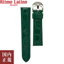 2000 1000 777 500円クーポン配布中 4/27迄 Ritmo Latino MILANO リトモラティーノ ミラノ ワニ革 替えベルト 20mm グリーン 20mmGR イタリア製 腕時計バンド ネコポス便送料無料 安心の国内正規品 代引手数料無料 あす楽 即納可能