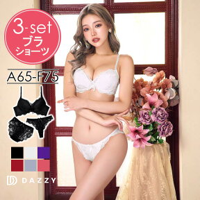 drw 即日発送 3点 ブラジャー ショーツ セット 育乳ブラ ブラジャー ショーツ 総レース 脇高 フルバック Tバック ショーツ 下着 レディース ティーバック セクシー ランジェリー 下着 上下 小胸 盛れる 脇高 ブラセット ブラショーツ セット 総レース ショーツ ドロー