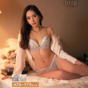 ブラジャー ショーツ セット グラデーション レーシィ ブラジャー & フルバック ショーツ | 大きいサイズ 下着 レディース セット ランジェリー セクシー ランジェリー ブラ セット ブラ ショーツ セット 上下セット