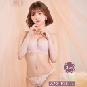 drw 即日発送 【3点SET】ブラジャー ショーツ セット フェアリー パステル ローズ ブラジャー フルバック Tバック ショーツ 大きいサイズ 下着 レディース セット tバック ティーバック ランジェリー セクシー ランジェリー ブラ セット 上下セット