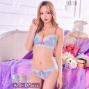 【春SALE 10％OFF】drw ブラジャー ショーツ セット ファンシー プティ フルール ブラジャー フルバック ショーツ 下着 セクシー ブラ セット ブラ ショーツ セット 上下セット