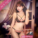 育乳ブラジャー 脇高ブラジャー ショーツ セット 補正下着 三上悠亜着用 クロスレーシィ リッチローズ 育乳 脇高 ブラジャー & Tバック ショーツ | ブラジャー ショーツ セット 脇肉 贅肉 盛りブラ ブラ セット 下着 レディース セット