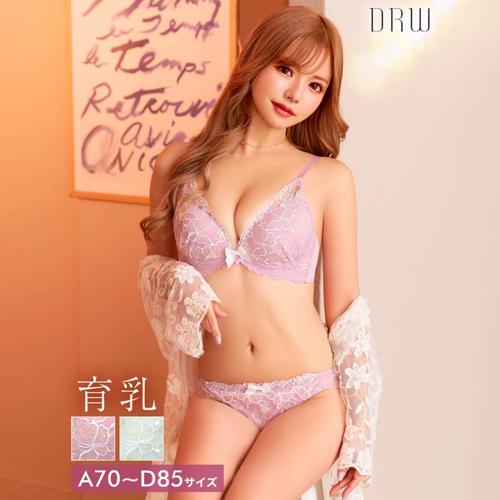 楽天dazzystore（デイジーストア）【楽天スーパーSALE10％OFF】育乳ブラジャー 脇高ブラジャー ショーツ セット 補正下着 エアリー パピヨン フルール 育乳 脇高 ブラジャー フルバック ショーツ ブラジャー ショーツ セット 脇肉 贅肉 盛りブラ ブラ セット 下着 レディース セット