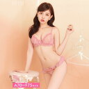 ブラジャー ショーツ セット クラシカル フリル シフォン ブラジャー & フルバック ショーツ 下着 レディース セット ランジェリー セクシー ランジェリー ブラ セット ブラ ショーツ セット 上下セット drw セクシー 下着 ランジェリー 美胸 育乳