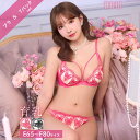 育乳ブラジャー ショーツ セット 補正下着 脇高ブラ 脇肉 贅肉 盛りブラ ランジェリー 寄せ 上げ 補正下着 垂れ 補正ブラ 可愛い下着 小胸 レディース