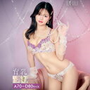 育乳ブラジャー 脇高ブラジャー ショーツ セット 補正下着 シャンデリア 水彩 フルール 育乳 脇高 ブラジャー & ¥フルバック ショーツ ブラジャー ショーツ セット 脇肉 贅肉 盛りブラ ブラ セット 下着 レディース セット drw 寄せ 上げ 補正