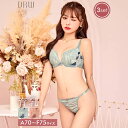 【全品30%OFFクーポン♪9/11 1:59迄】育乳ブラジャー 脇高ブラジャー ショーツ セット 補正下着 レーシィ ブルーム ローズ 育乳 脇高 ブラジャー & フルバック & Tバック ショーツブラジャー ショーツ セット 脇肉 贅肉 盛りブラ ブラ セット 下