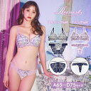 ブラジャー ショーツ セット 下着 レディース セット ランジェリー ブラ セット ブラ ショーツ セット 上下セット 下着 セット ブラ フルバック tバック セクシー 女性 大人